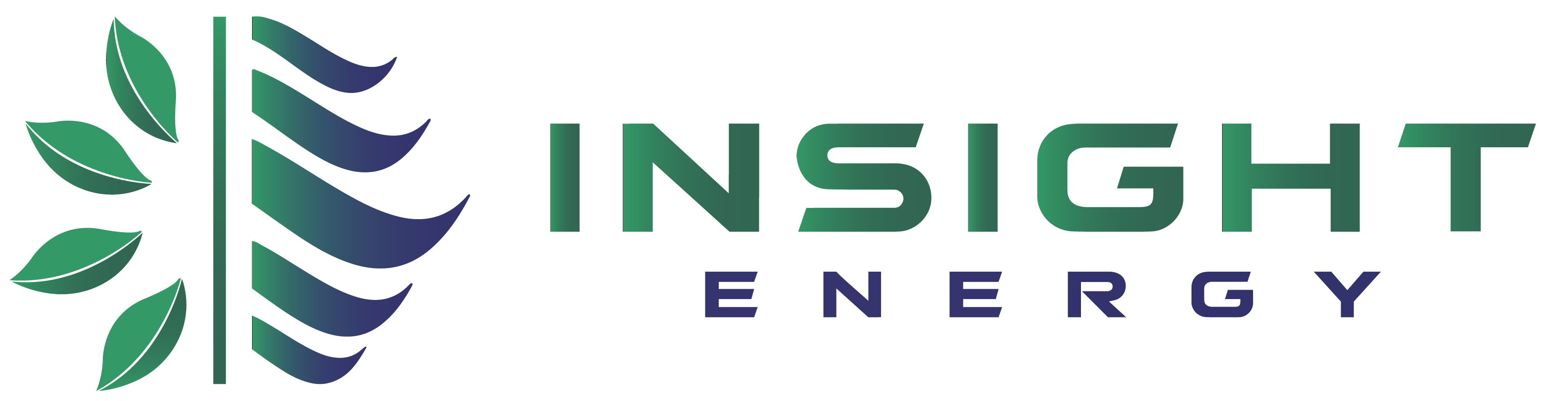 Insight Energy
